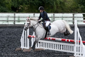 Class 7 - Fences 3' to 3'3